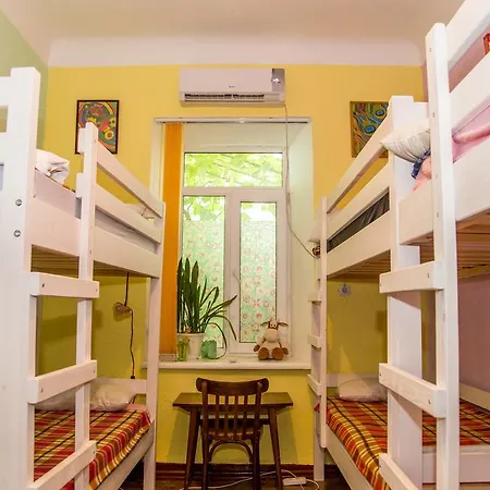 Hostel Iq